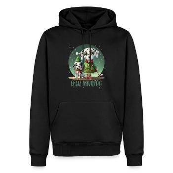 Dalmatinische Elfe - Männer Premium Bio Hoodie - Schwarz - Vorne - Nico (187cm)