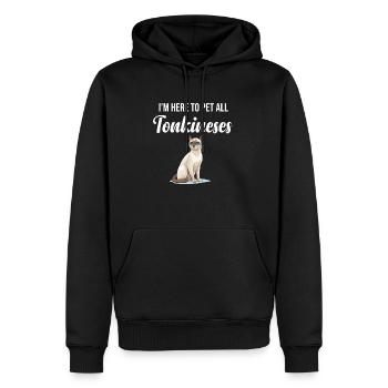 Ich Bin Hier, Um Alle Tonkinesen-ragdoll-eltern, - Männer Premium Bio Hoodie - Schwarz - Vorne - Nico (187cm)