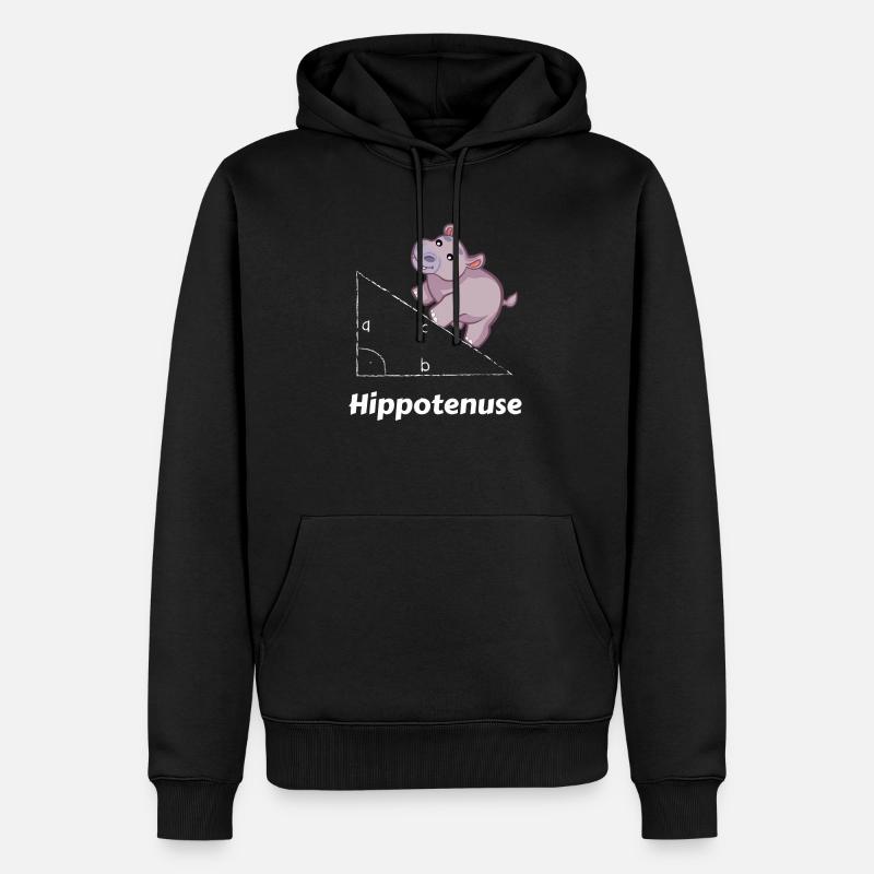 Hippotenuse Maths Geek - Männer Premium Bio Hoodie - Schwarz