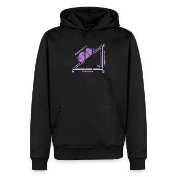 Hyppothenuse math Funny teacher - Sweat à capuche Premium bio Homme - noir - Devant - Nico (187cm)