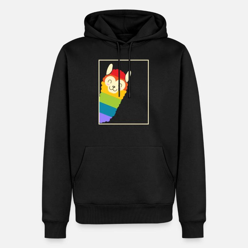 Rainbow Alpine - Sweat à capuche Premium bio Homme - noir