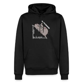 Hypoténuse Hippo Hippopotame Géométrie mathématique - Sweat à capuche Premium bio Homme - noir - Devant - Nico (187cm)