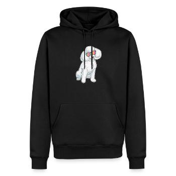 Pudel Geschenk Pudel Geschenk Pudel In Sonnenbrillen - Männer Premium Bio Hoodie - Schwarz - Vorne - Nico (187cm)