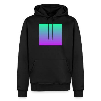 Arc-en-ciel dégradé turquoise vert violet violet - Sweat à capuche Premium bio Homme - noir - Devant - Nico (187cm)