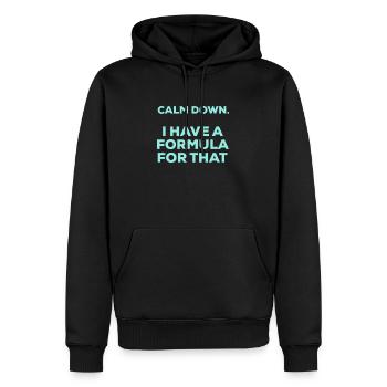 Beruhigen Sie sich, ich habe eine Formel dafür, Buchhaltung - Männer Premium Bio Hoodie - Schwarz - Vorne - Nico (187cm)