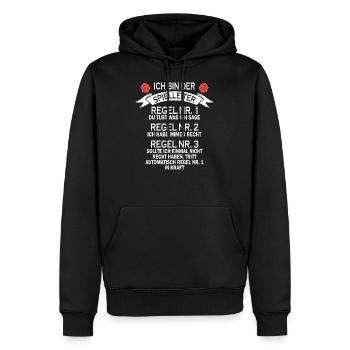 Spielleiter Rollenspiel Nerd Geek Geschenk - Männer Premium Bio Hoodie - Schwarz - Vorne - Nico (187cm)