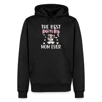 Pomsky Mama Pomsky Propriétaire de chien Pomsky Maman - Sweat à capuche Premium bio Homme - noir - Devant - Nico (187cm)
