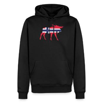Norvège Norvège Scandinavie Drapeau norvégien - Sweat à capuche Premium bio Homme - noir - Devant - Nico (187cm)