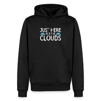 Météorologue Météo Climat Prévisions Météo - Sweat à capuche Premium bio Homme - noir - Devant - Nico (187cm)