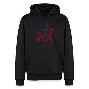 Voltigieren Pferd Reiterin Voltigierer - Männer Premium Bio Hoodie - Schwarz - Vorne - Nico (187cm)