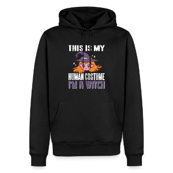 This Is My Human Costume I'm A Witch Halloween - Männer Premium Bio Hoodie - Schwarz - Vorne - Nico (187cm)