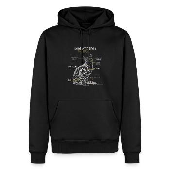 Funny Anatomy of a Cat Lover Veterinary Physiology - Sweat à capuche Premium bio Homme - noir - Devant - Nico (187cm)