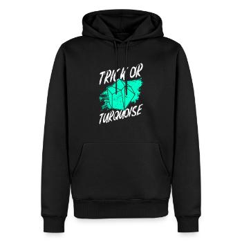 Geologe Steinsammler Steine Geologie Halloween - Männer Premium Bio Hoodie - Schwarz - Vorne - Nico (187cm)
