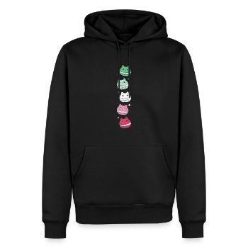Abrosexuel - Fierté abrosexuelle - Drapeau abrosexuel - Sweat à capuche Premium bio Homme - noir - Devant - Nico (187cm)
