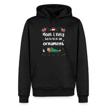 Am ehesten wird ein Ornament an Weihnachten kaputt gehen - Männer Premium Bio Hoodie - Schwarz - Vorne - Nico (187cm)