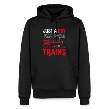 Train à vapeur Conducteur de train Locomotive Train - Sweat à capuche Premium bio Homme - noir - Devant - Nico (187cm)