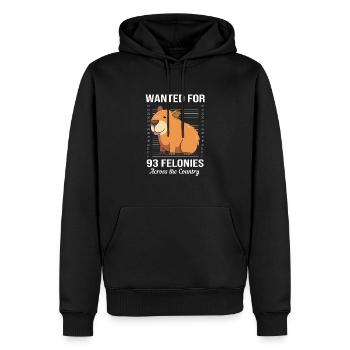 Capybara Capibara - Männer Premium Bio Hoodie - Schwarz - Vorne - Nico (187cm)