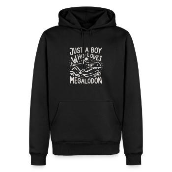 Garçon Qui Aime Les Megalodon Humour Requin - Sweat à capuche Premium bio Homme - noir - Devant - Nico (187cm)