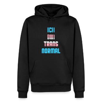 Ich Bin Trans Normal Transgender Spruch - Männer Premium Bio Hoodie - Schwarz - Vorne - Nico (187cm)