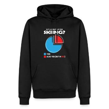 Is it a great Day for skiing - Men’s Premium Organic Hoodie - black - Front - Nico (187cm)