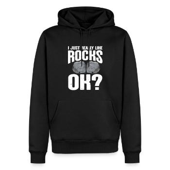 Rock Collector Geology Geologist - Männer Premium Bio Hoodie - Schwarz - Vorne - Nico (187cm)