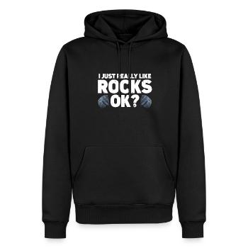 Rock Collector Geology Geologist - Männer Premium Bio Hoodie - Schwarz - Vorne - Nico (187cm)