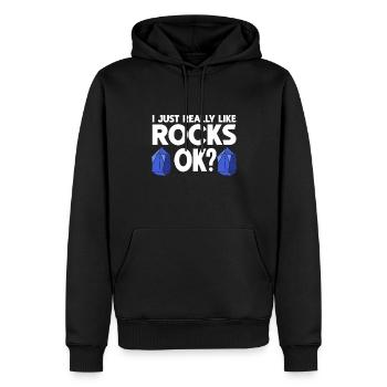 Rock Collector Geology Geologist - Männer Premium Bio Hoodie - Schwarz - Vorne - Nico (187cm)