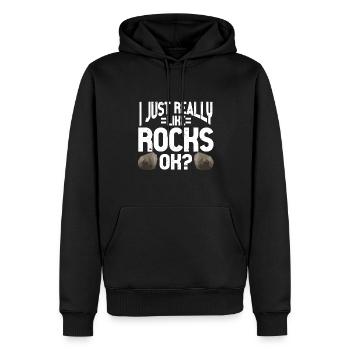 Rock Collector Geology Geologist - Männer Premium Bio Hoodie - Schwarz - Vorne - Nico (187cm)