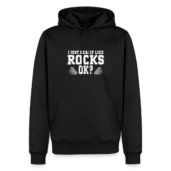 Rock Collector Geology Geologist - Männer Premium Bio Hoodie - Schwarz - Vorne - Nico (187cm)