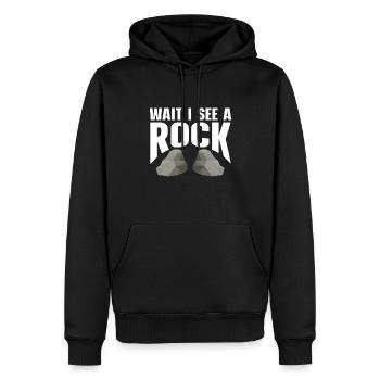 Rock Collector Geology Geologist - Männer Premium Bio Hoodie - Schwarz - Vorne - Nico (187cm)