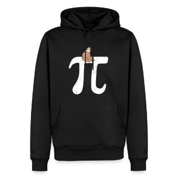 Math Sloth Pi - Men’s Premium Organic Hoodie - black - Front - Nico (187cm)