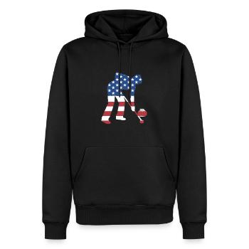 Sport Us Flag Curling - Sweat à capuche Premium bio Homme - noir - Devant - Nico (187cm)