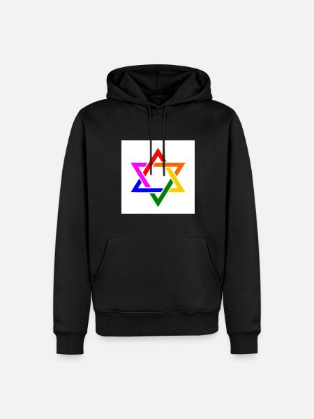 Israel lgbt flag - Men’s Premium Organic Hoodie - black