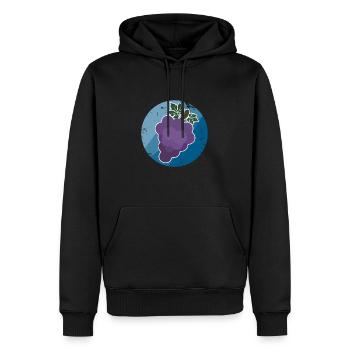 Cadeau raisins noel enfants - Sweat à capuche Premium bio Homme - noir - Devant - Nico (187cm)