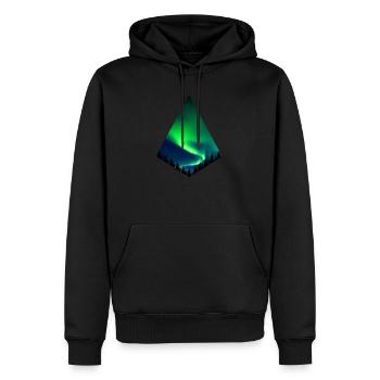 Aurora Borealis - Polarlichter - Männer Premium Bio Hoodie - Schwarz - Vorne - Nico (187cm)