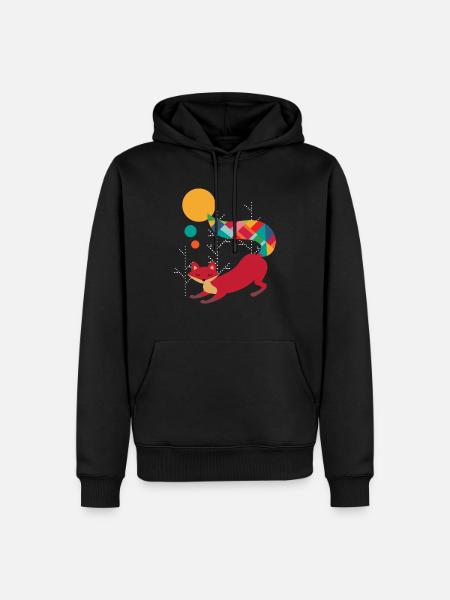 Dream Catcher Fox Indian Studies Indian Indians Dead - Herre Premium økologisk hoodie - sort