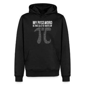 Math Funny - Männer Premium Bio Hoodie - Schwarz - Vorne - Nico (187cm)