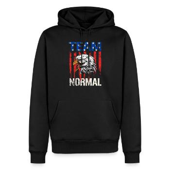 Équipe Normal Bold Eagle Drapeau américain en détresse - Sweat à capuche Premium bio Homme - noir - Devant - Nico (187cm)