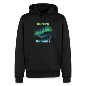 Aurore boréale - Sweat à capuche Premium bio Homme - noir - Devant - Nico (187cm)
