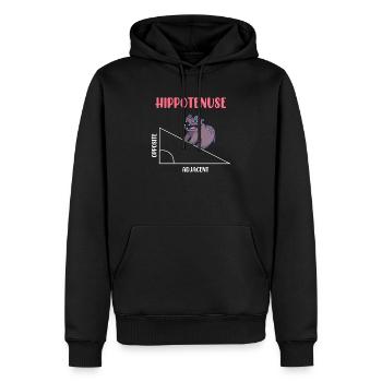 Hippotenuse Algèbre Mathématiques Étudiant - Sweat à capuche Premium bio Homme - noir - Devant - Nico (187cm)