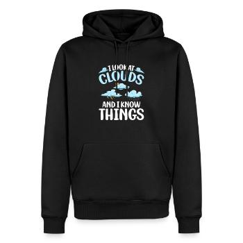 I Look At Clouds And I Know Things Meteorologist - Men’s Premium Organic Hoodie - black - Front - Nico (187cm)