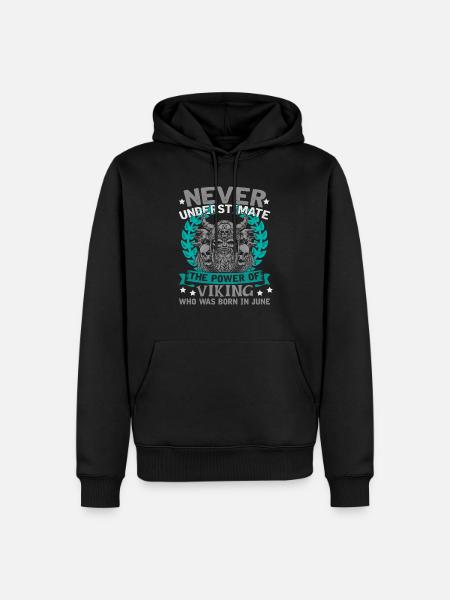 Vikings - Männer Premium Bio Hoodie - Schwarz