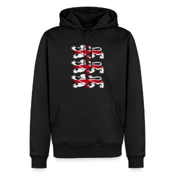 England Football Patriotic English Soccer Lions - Men’s Premium Organic Hoodie - black - Front - Nico (187cm)