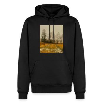 Conception fantastique du paysage norvégien - Sweat à capuche Premium bio Homme - noir - Devant - Nico (187cm)