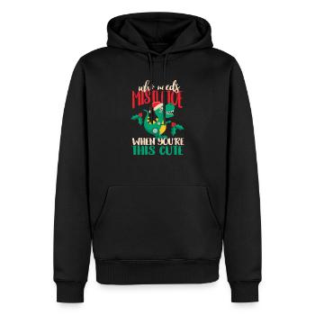 Wer braucht schon einen Mistelzweig, wenn man dies - Männer Premium Bio Hoodie - Schwarz - Vorne - Nico (187cm)