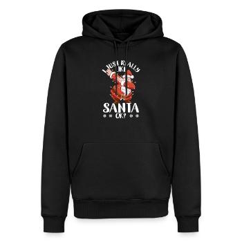 Ich mag den Weihnachtsmann einfach wirklich, okay? - Männer Premium Bio Hoodie - Schwarz - Vorne - Nico (187cm)