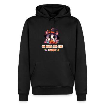 Je suis là pour le chaton mignon de bonbons - Sweat à capuche Premium bio Homme - noir - Devant - Nico (187cm)