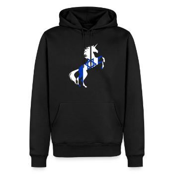 T-Shirt Drapeau Licorne Israël Licorne Magique Israël - Sweat à capuche Premium bio Homme - noir - Devant - Nico (187cm)