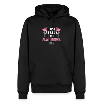 Ich mag Flamingos einfach sehr gut zwei rosa Flamingos - Männer Premium Bio Hoodie - Schwarz - Vorne - Nico (187cm)