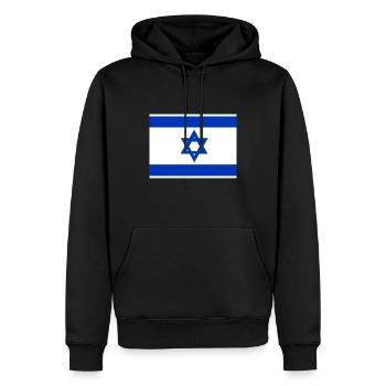 Etudes du drapeau d’Israël - Sweat à capuche Premium bio Homme - noir - Devant - Nico (187cm)